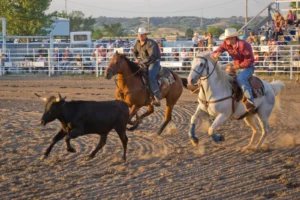 Steer Wrestling: 