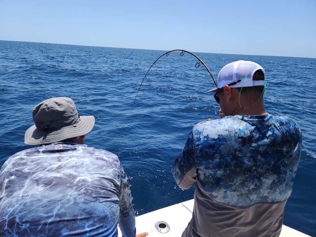 Bottom Fishing: