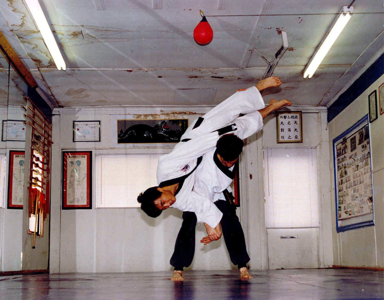 Hapkido: